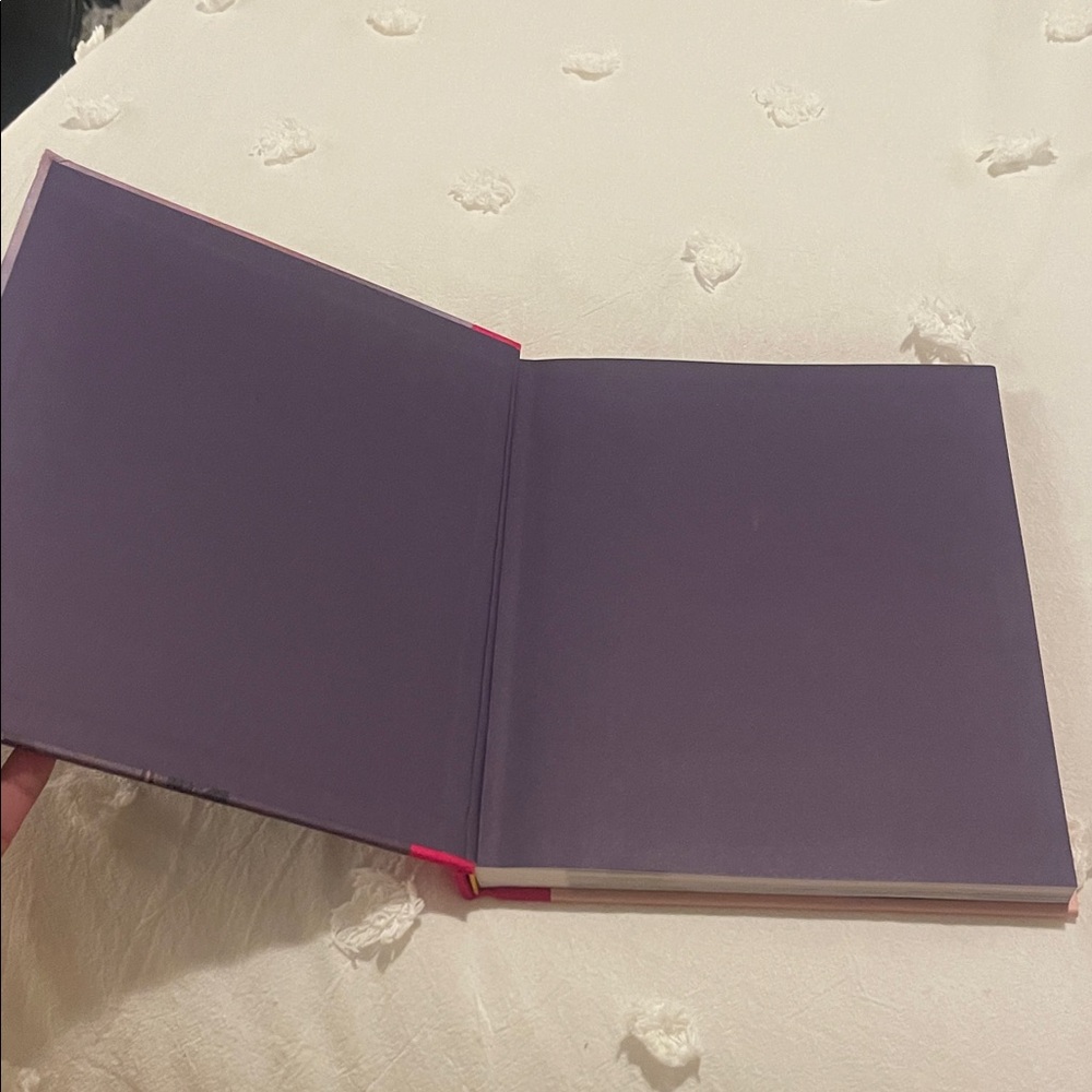 Beyoncé and the Clothes She Wears Book - Pink and Gray - Picture 2 of 9